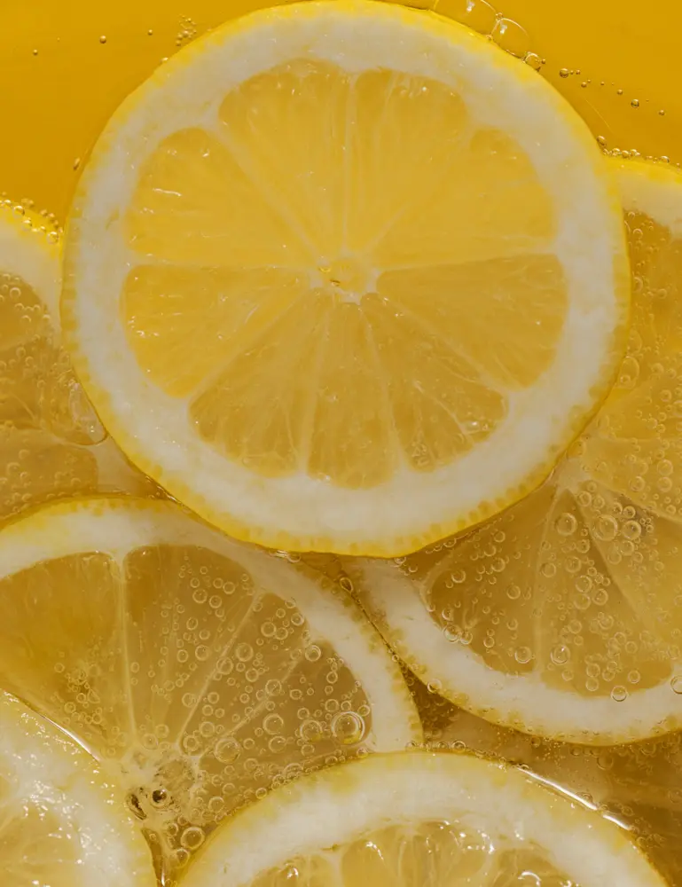 Lemon Verbena Modern Heirloom 12.17 Oz Liquid Hand Soap - Image 3