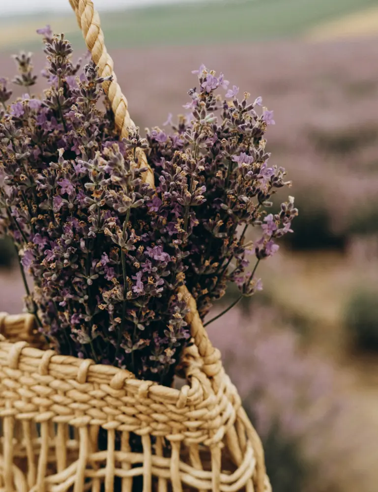 Cedar & Lavender 100 Ml Reed Diffuser - Image 2