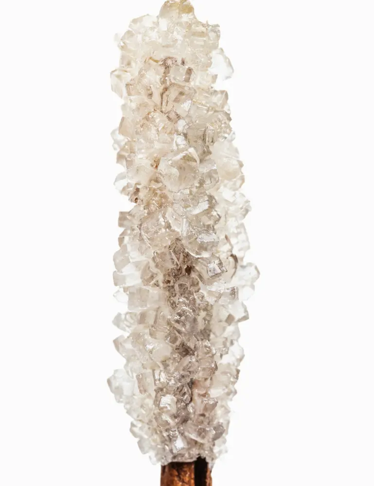 Vanilla Sugar 10.47 Oz Liquid Hand Soap - Image 2